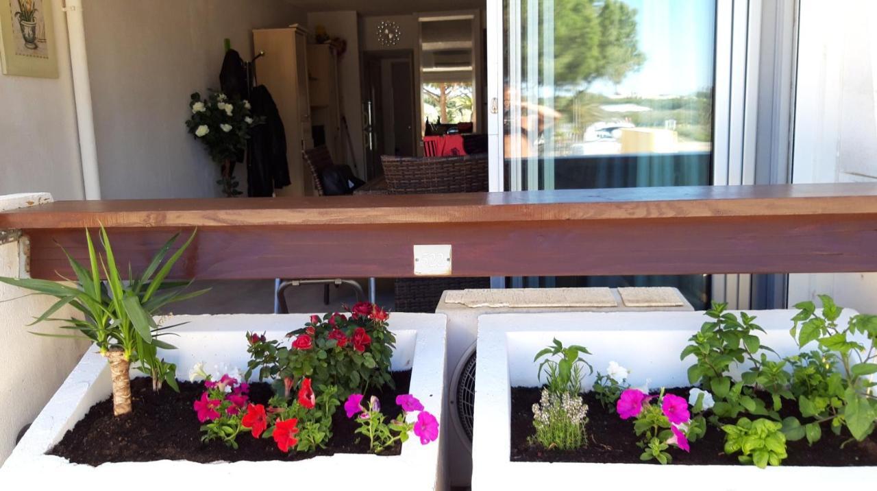 Village Naturiste, Cap D'Agde Port Nature 522 エクステリア 写真